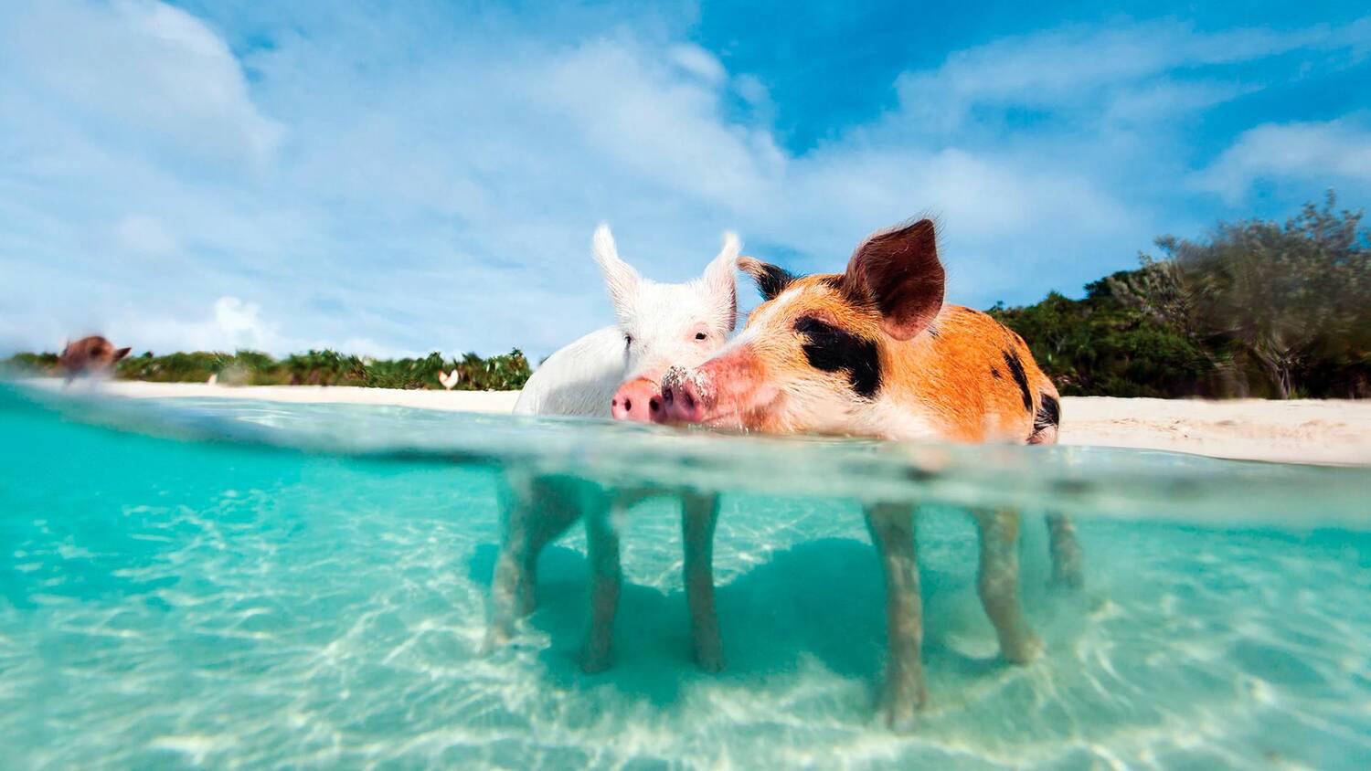 Exuma Islands