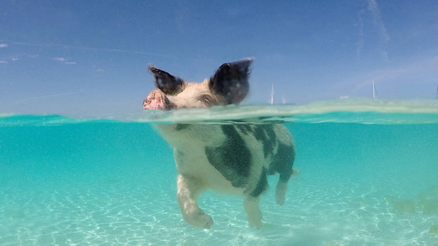 Winter escape to Bahamas