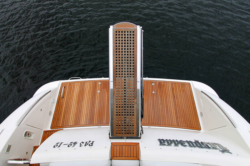 Swim platform and hydraulic gangway