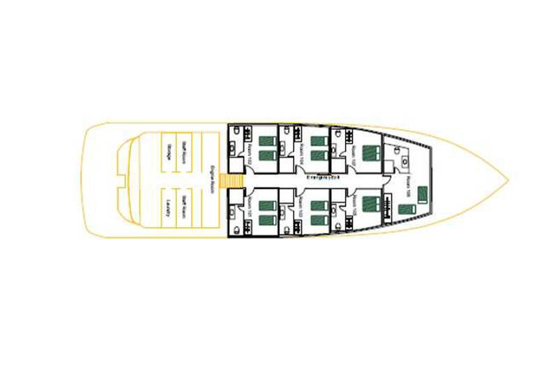 Lower deck